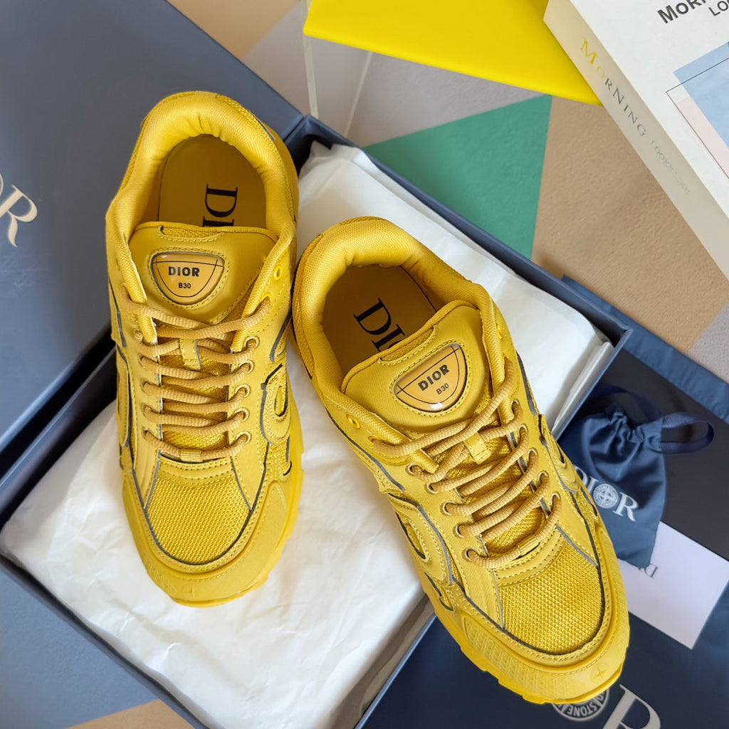 Dior x Stone Island B30