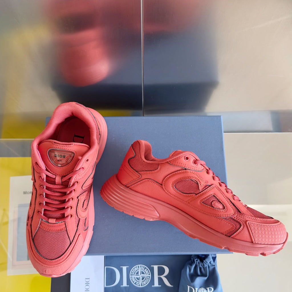 Dior x Stone Island B30